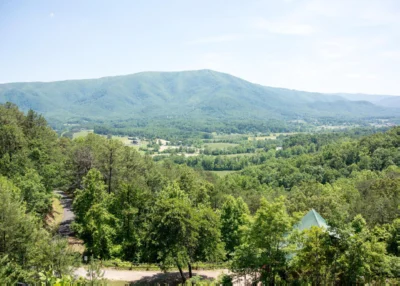 A View to Remember