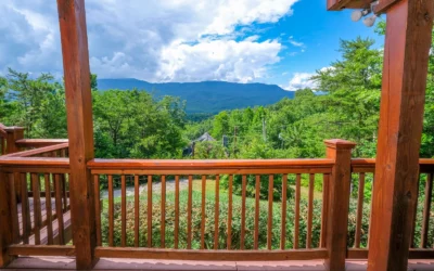 A Luxury View