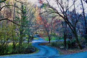 Bear Creek Lodge