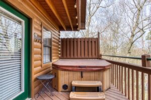 2Bds2Ba sleep 6 cozy cabin w hot tub & pool access