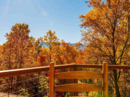 Whispering Pines Retreat By Ghosal Luxury Lodging