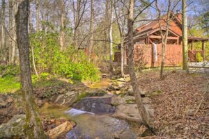 Creek behind cabin