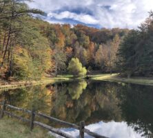 Joyful Haven