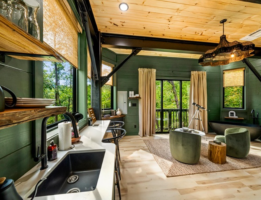 Rigel Tree house