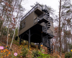 Saiph Tree house