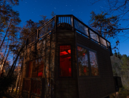 Saiph Tree house