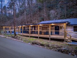 Bear Paradise Cabin