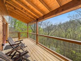 back deck